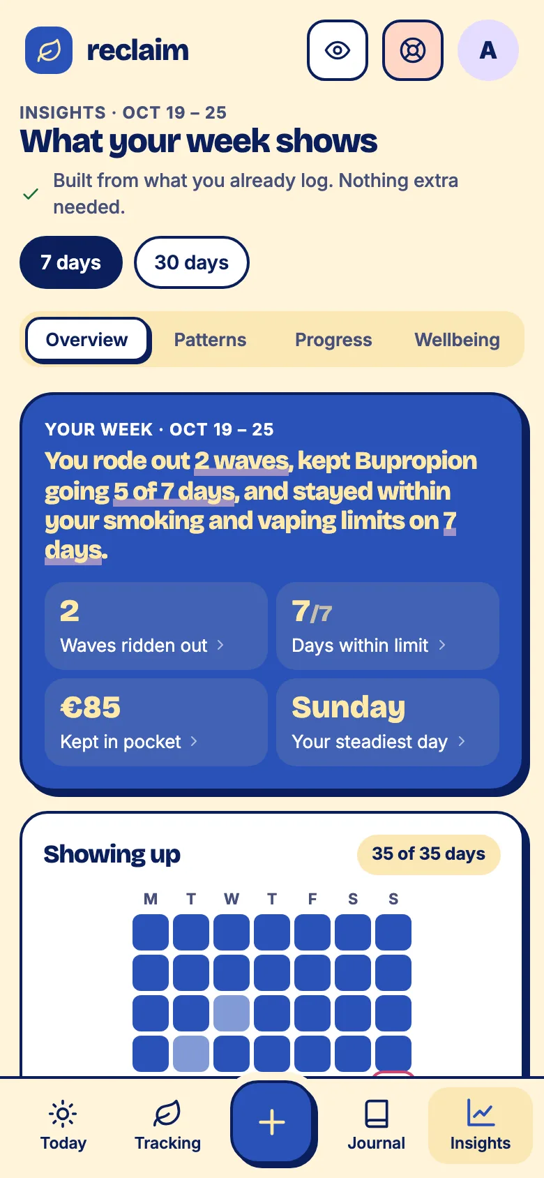 The Insights screen in the Zine look.